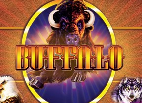Buffalo